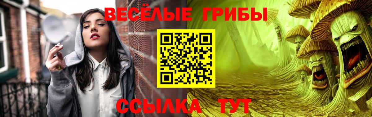 Галлюциногенные грибы ЛСД Унеча