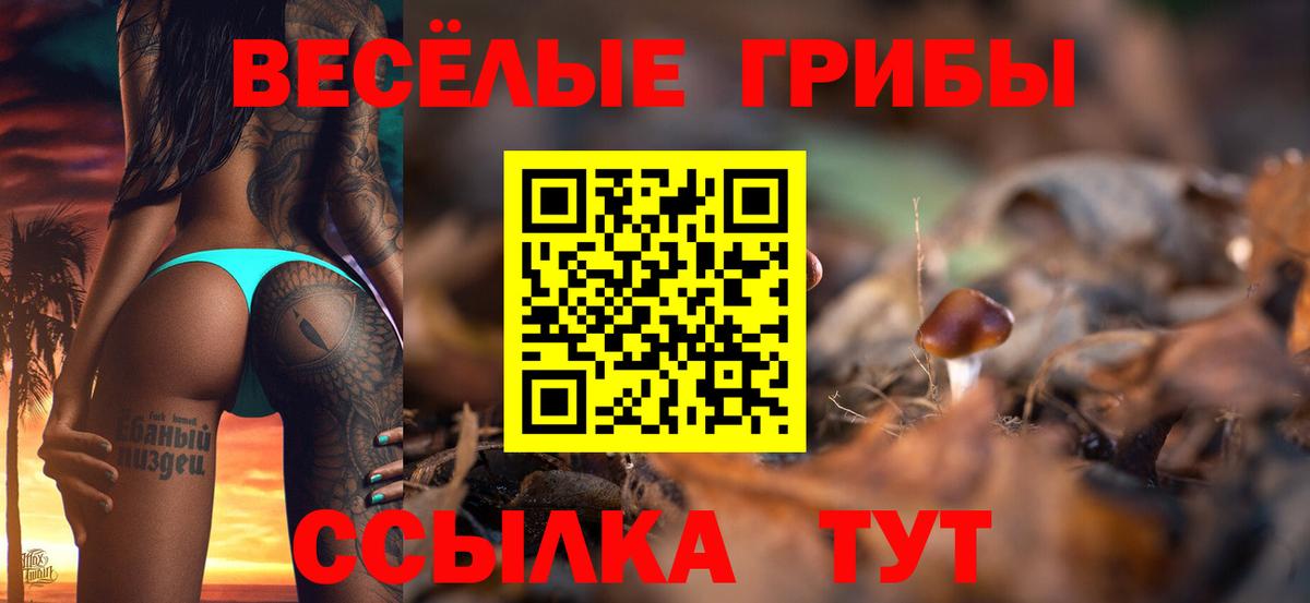 Унеча  Псилоцибиновые грибы мухоморы  Вход с VPN  Галлюциногенные грибы Magic Shrooms 
